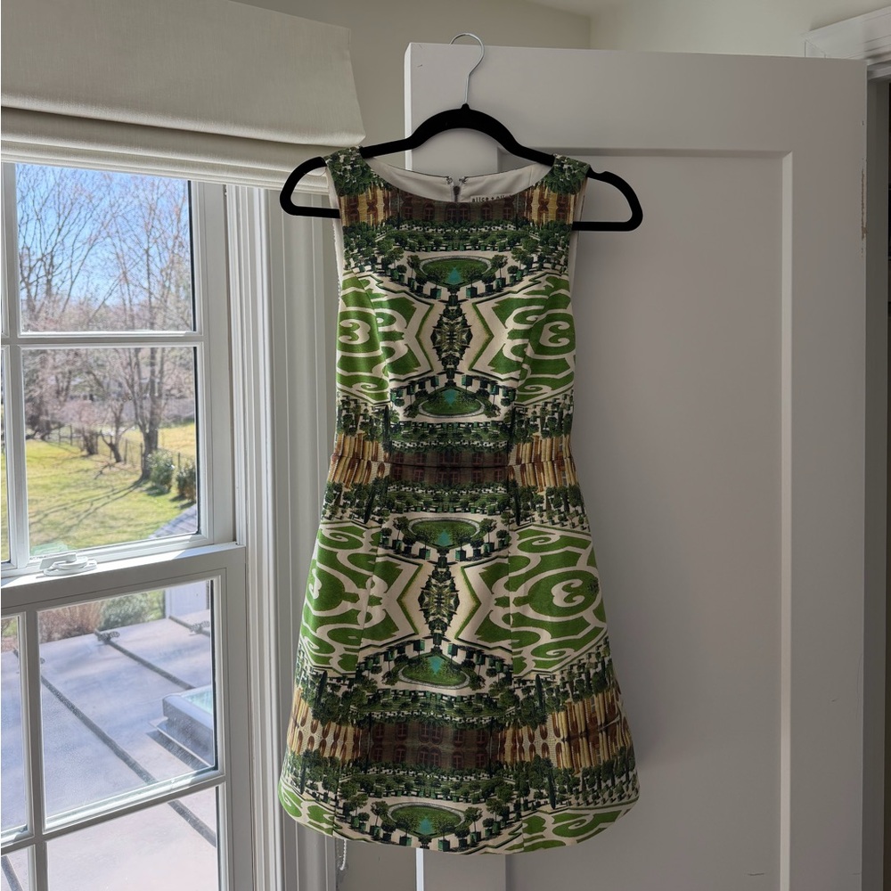 Alice and Olivia cocktail Dress